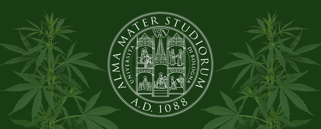 Research collaboration with the University of Bologna