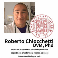 Professor Roberto Chiocchetti de la Universidad de Bolonia
